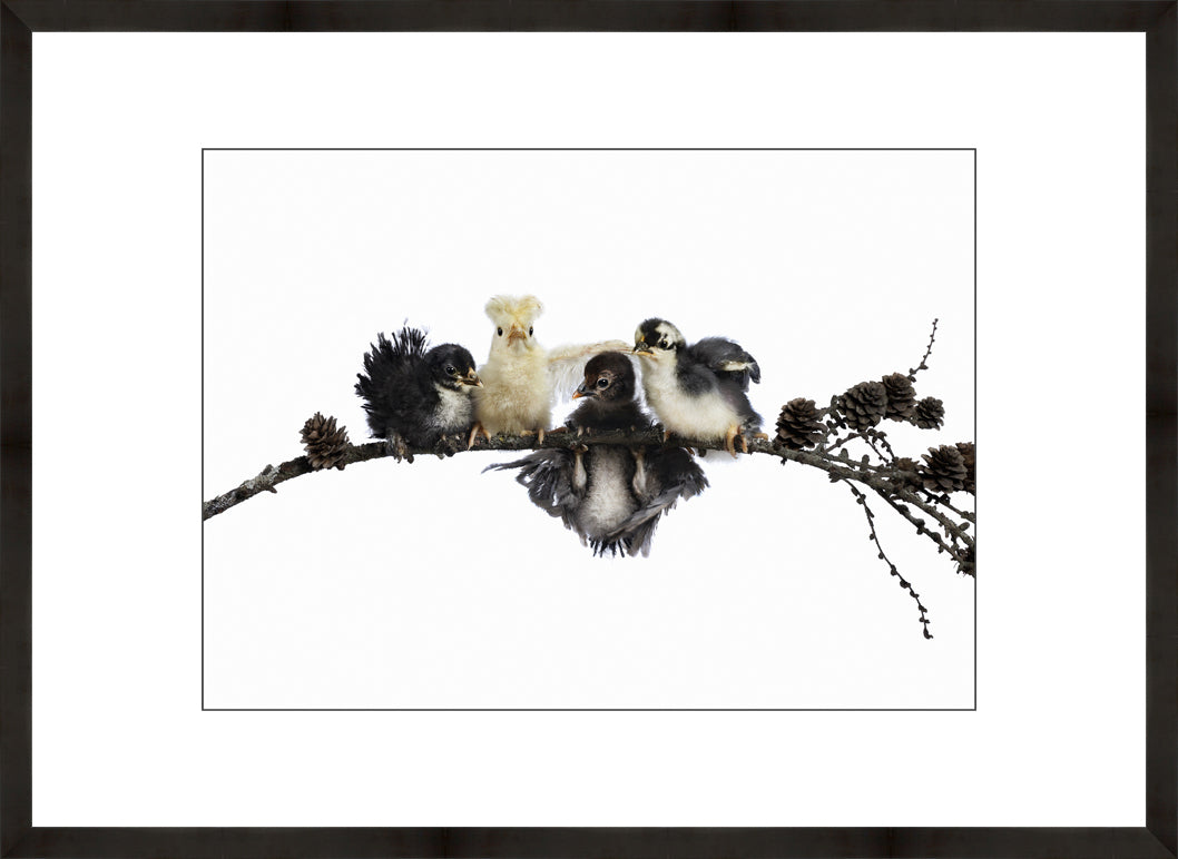 HANG IN THERE | Numbered edition original photo