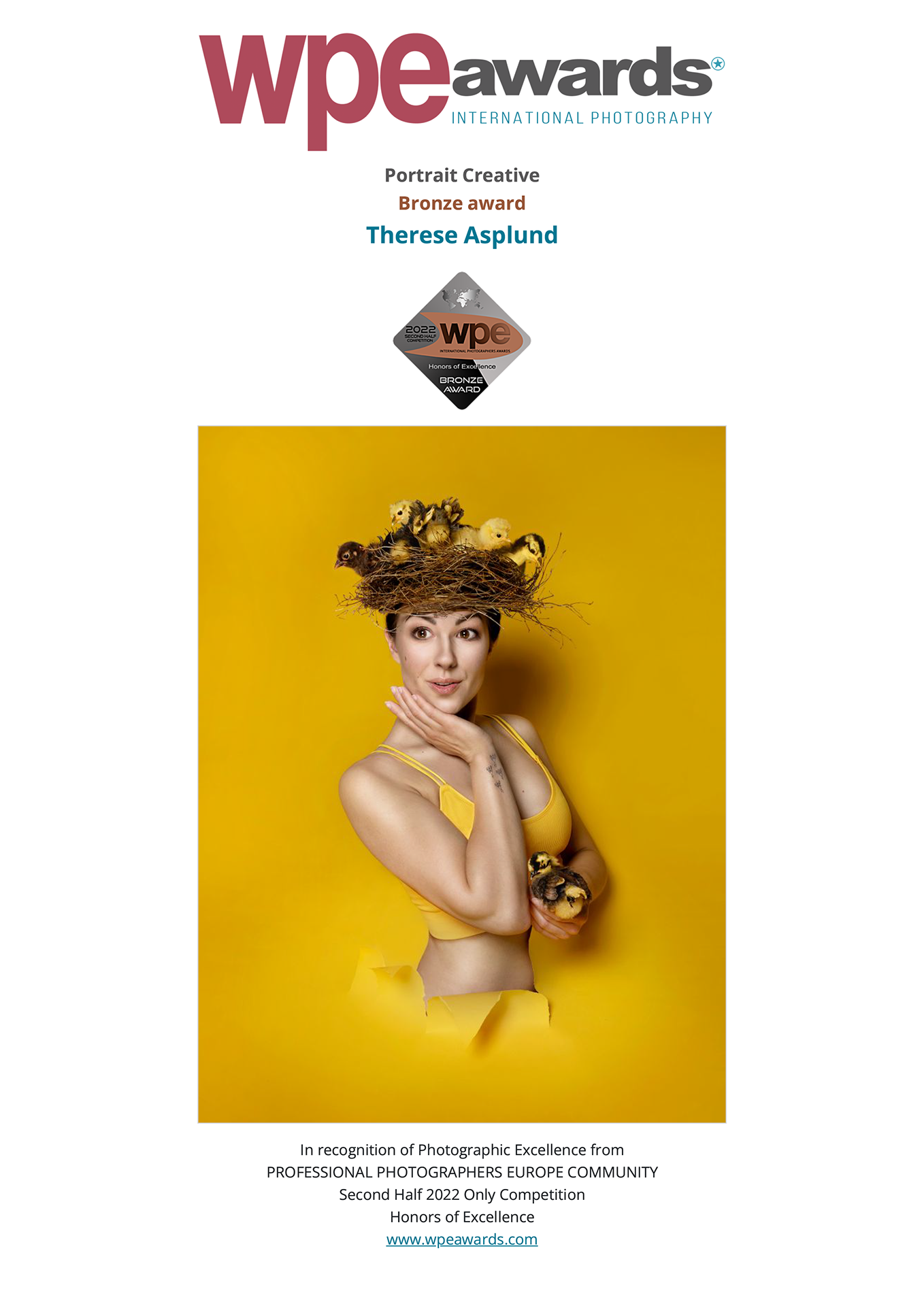 Art Poster 50x70 - CRAZY BIRD LADY