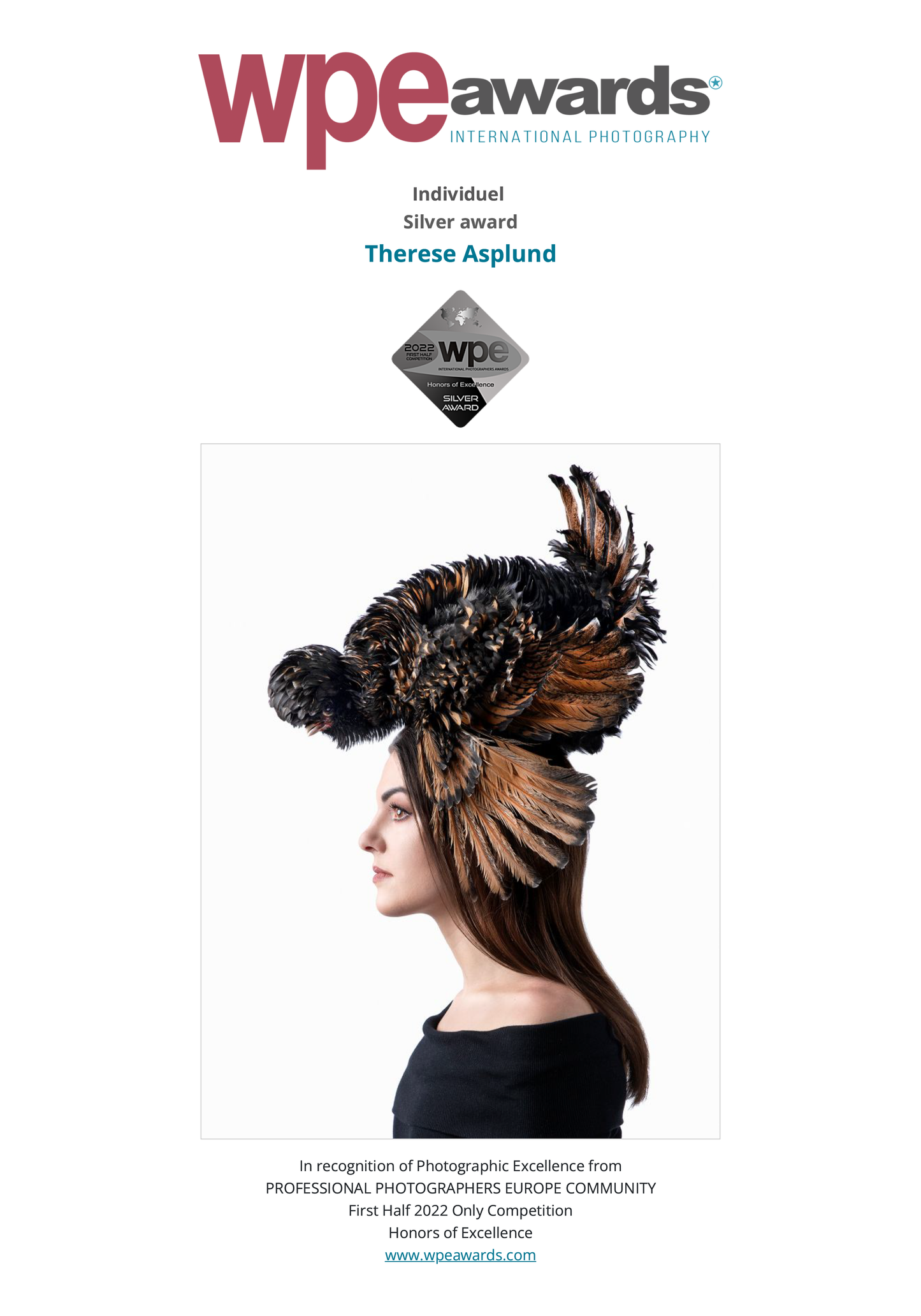 Art Poster 50x70 - STAY FOCUSED AND DON´T CHICKEN OUT