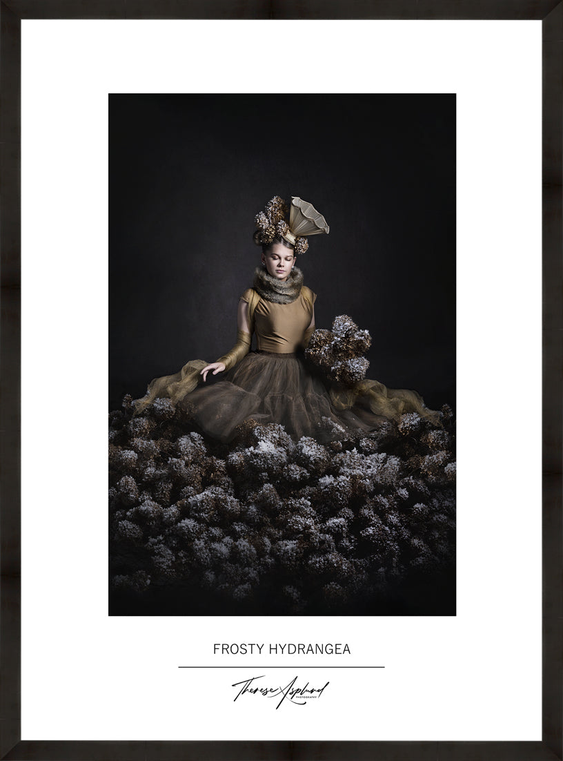 Art Poster 50x70 - FROSTY HYDRANGEA