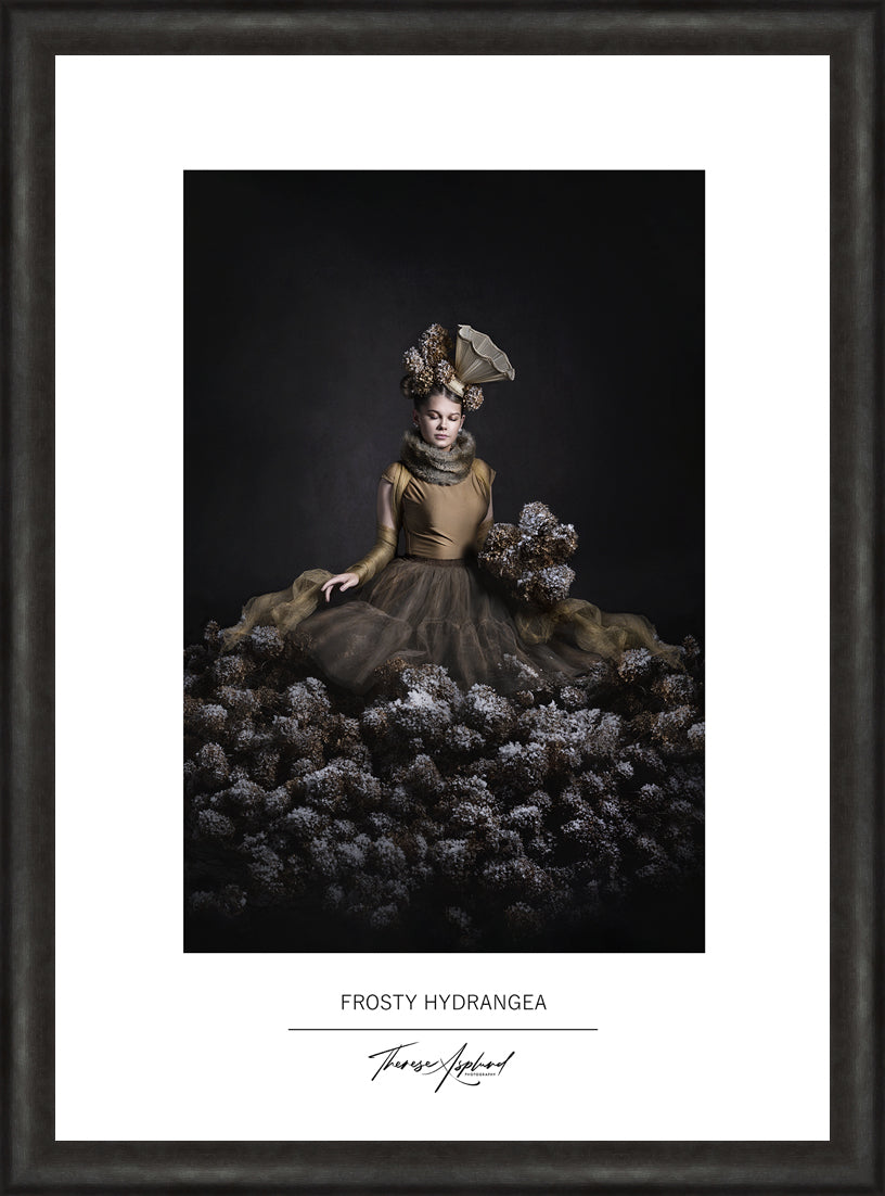 Art Poster 50x70 - FROSTY HYDRANGEA