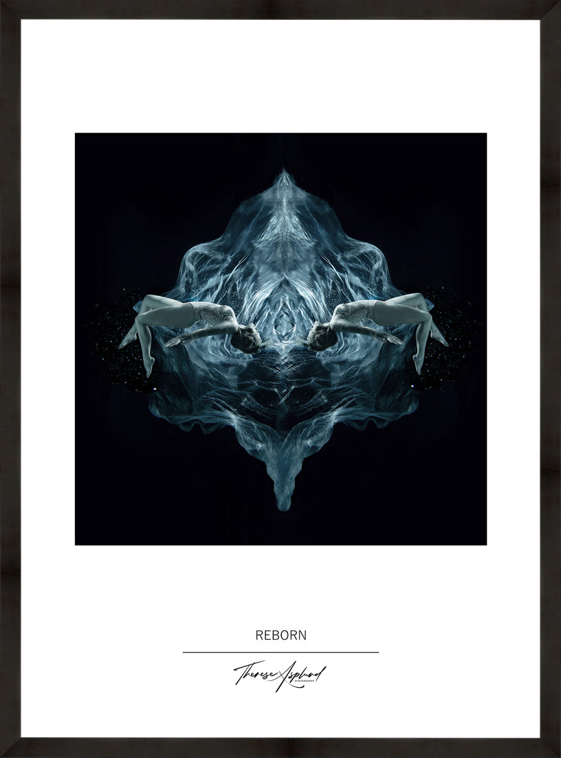 Art Poster 50x70 - REBORN