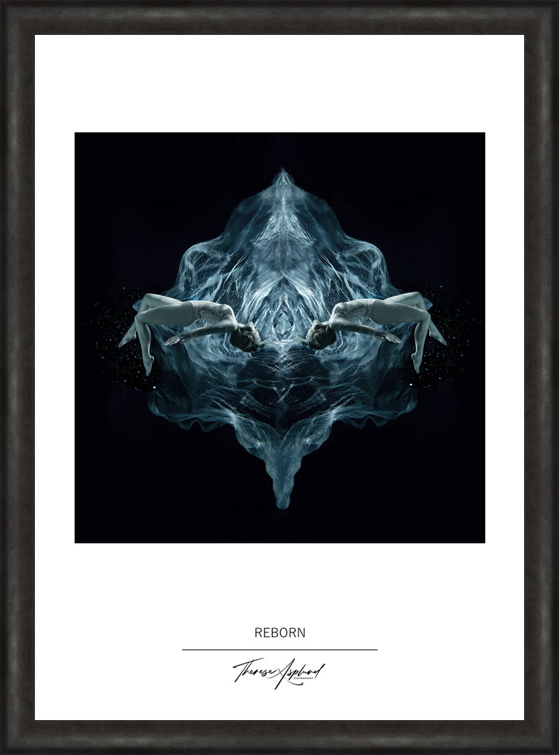 Art Poster 50x70 - REBORN