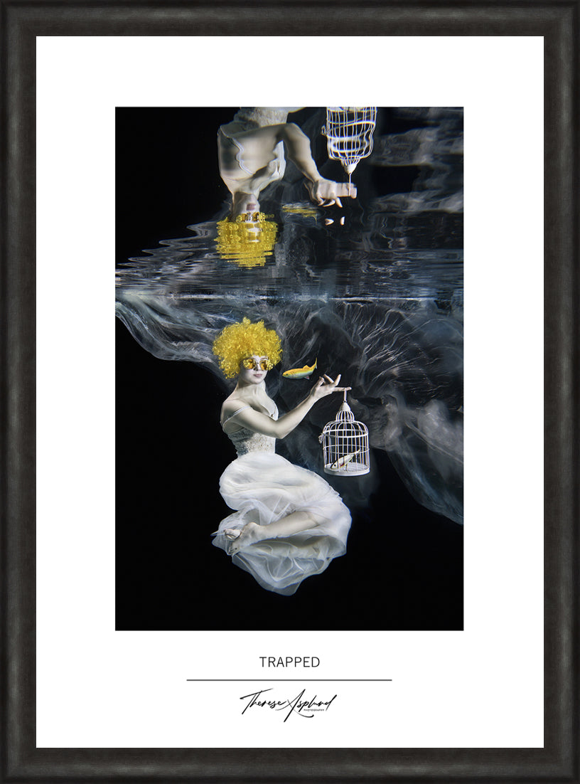 Art Poster 50x70 - TRAPPED