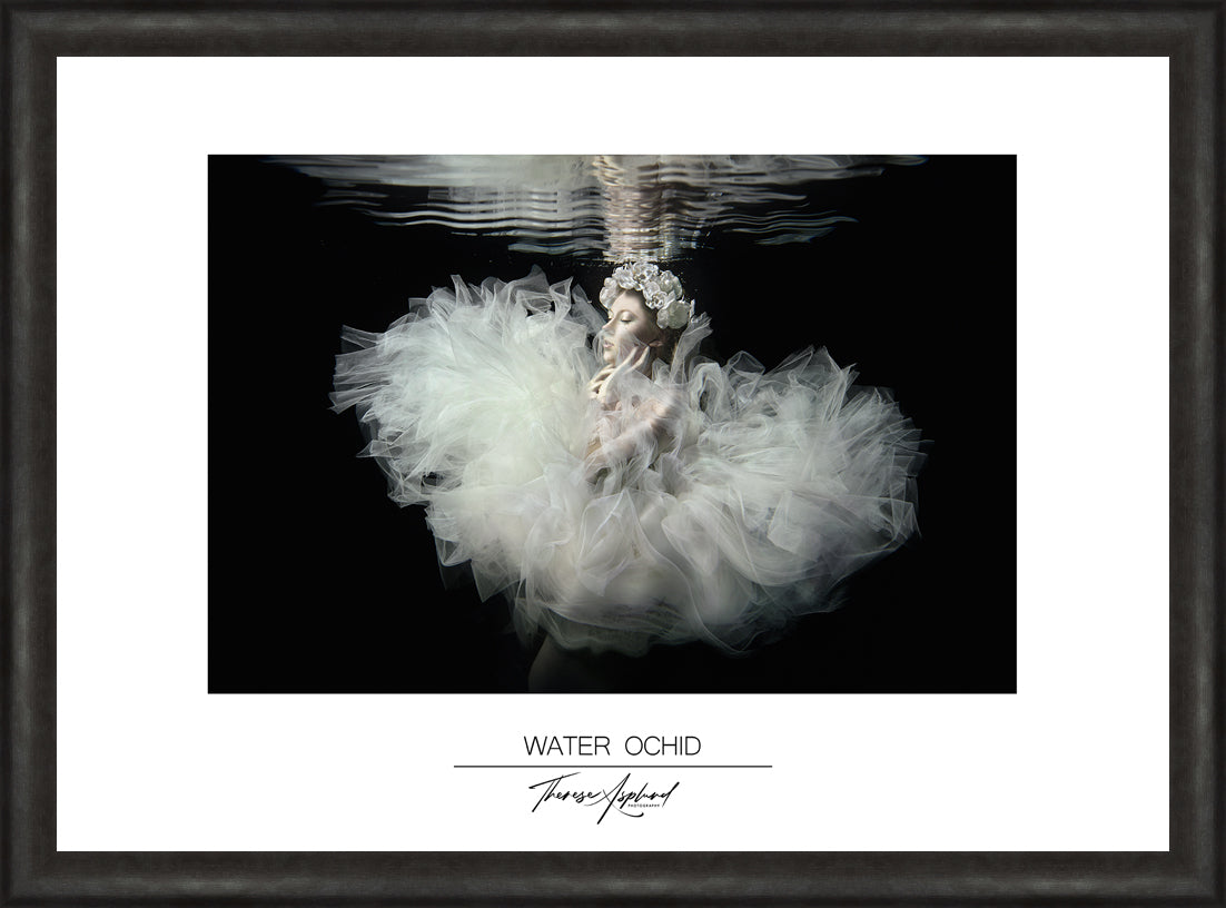 Art Poster 50x70 - WATER OCHID