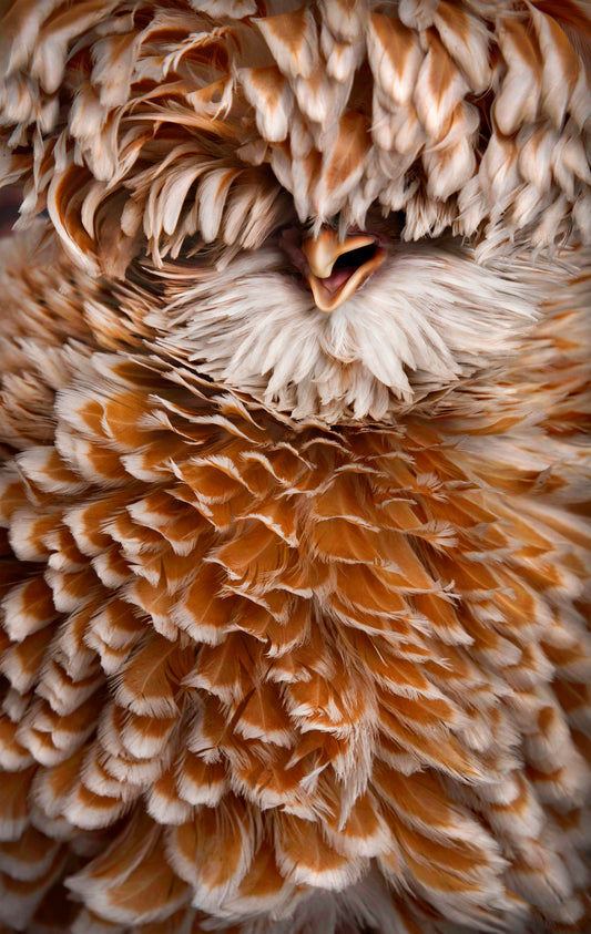 BIG BANGS | Numbered edition original photo