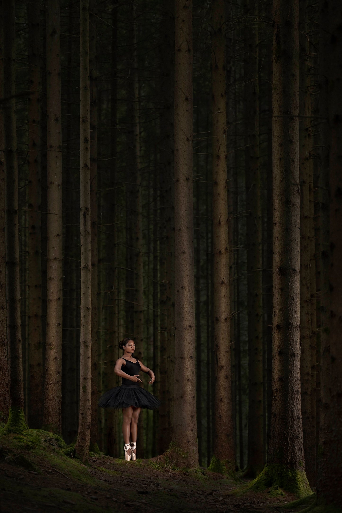 IN SEARCH OF GROUND | Numbered edition original photo