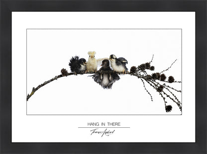 Art Poster 50x70 - HANG IN THERE