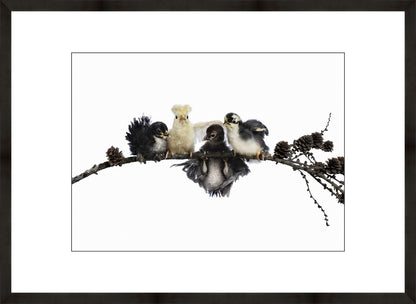 HANG IN THERE | Numbered edition original photo