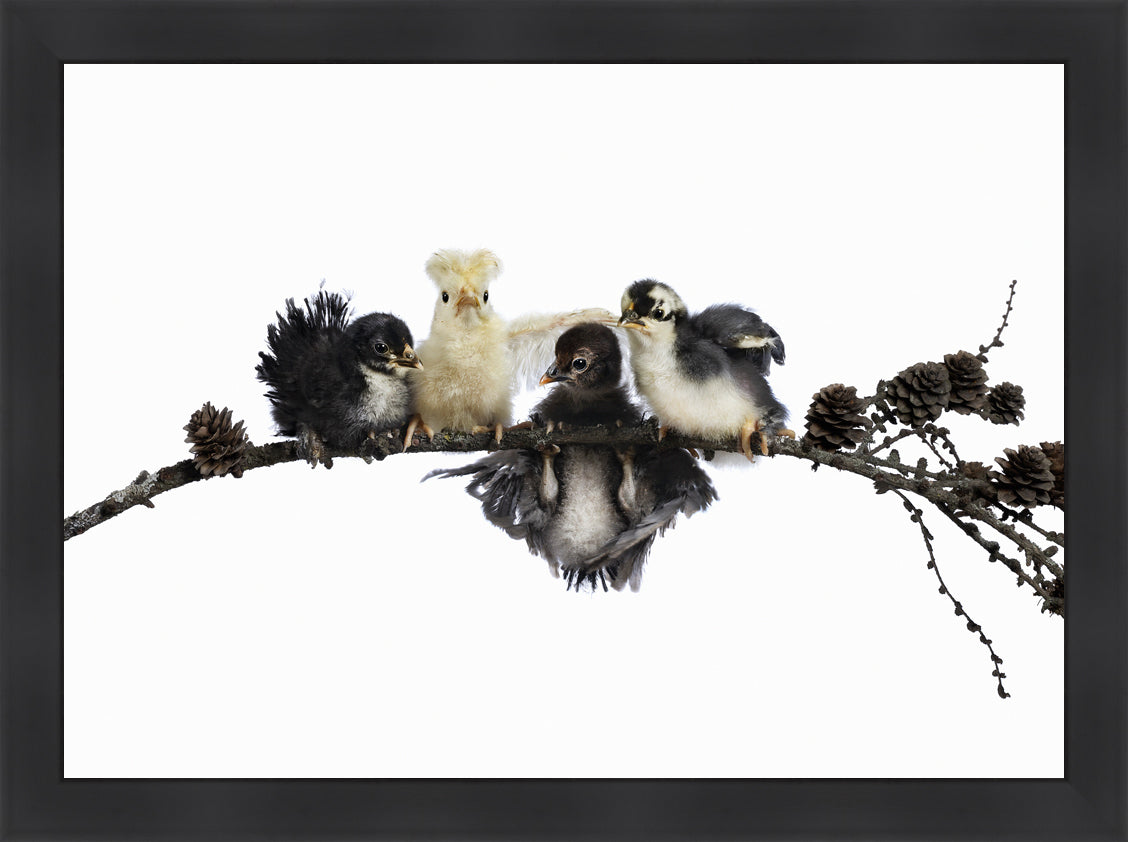 HANG IN THERE | Numbered edition original photo
