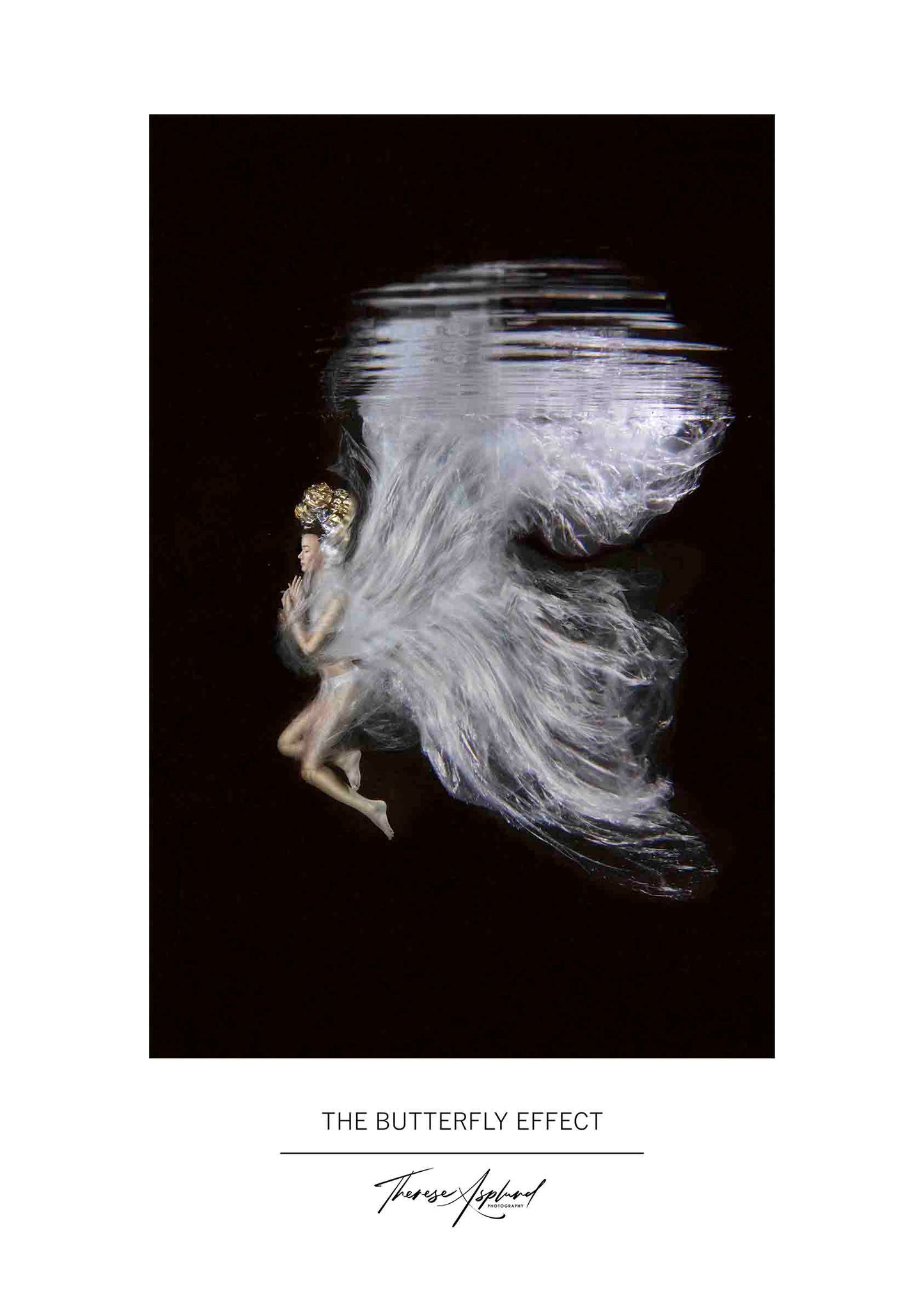 Art Poster 50x70 - THE BUTTERFLY EFFECT