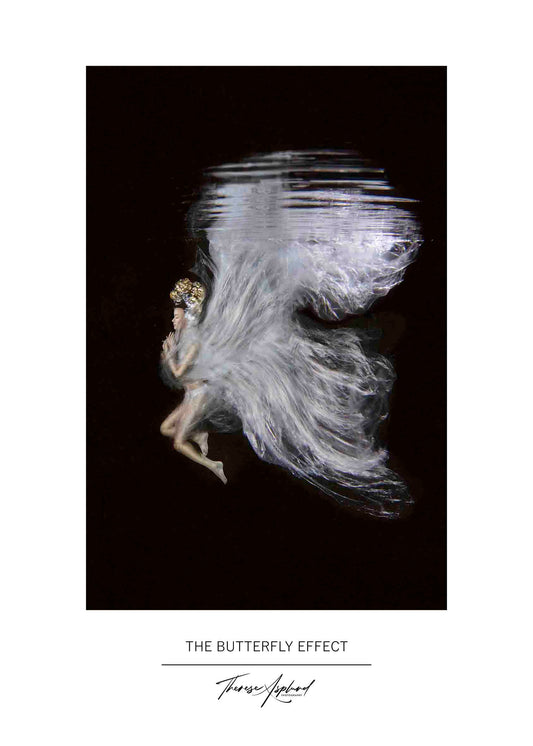 Art Poster 50x70 - THE BUTTERFLY EFFECT