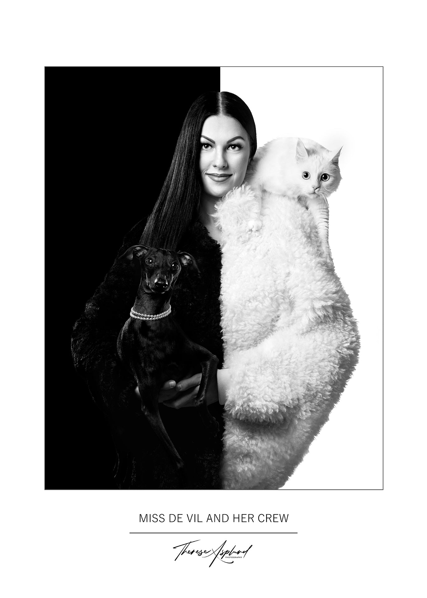 Art Poster 50x70 - MISS DE VIL AND HER CREW