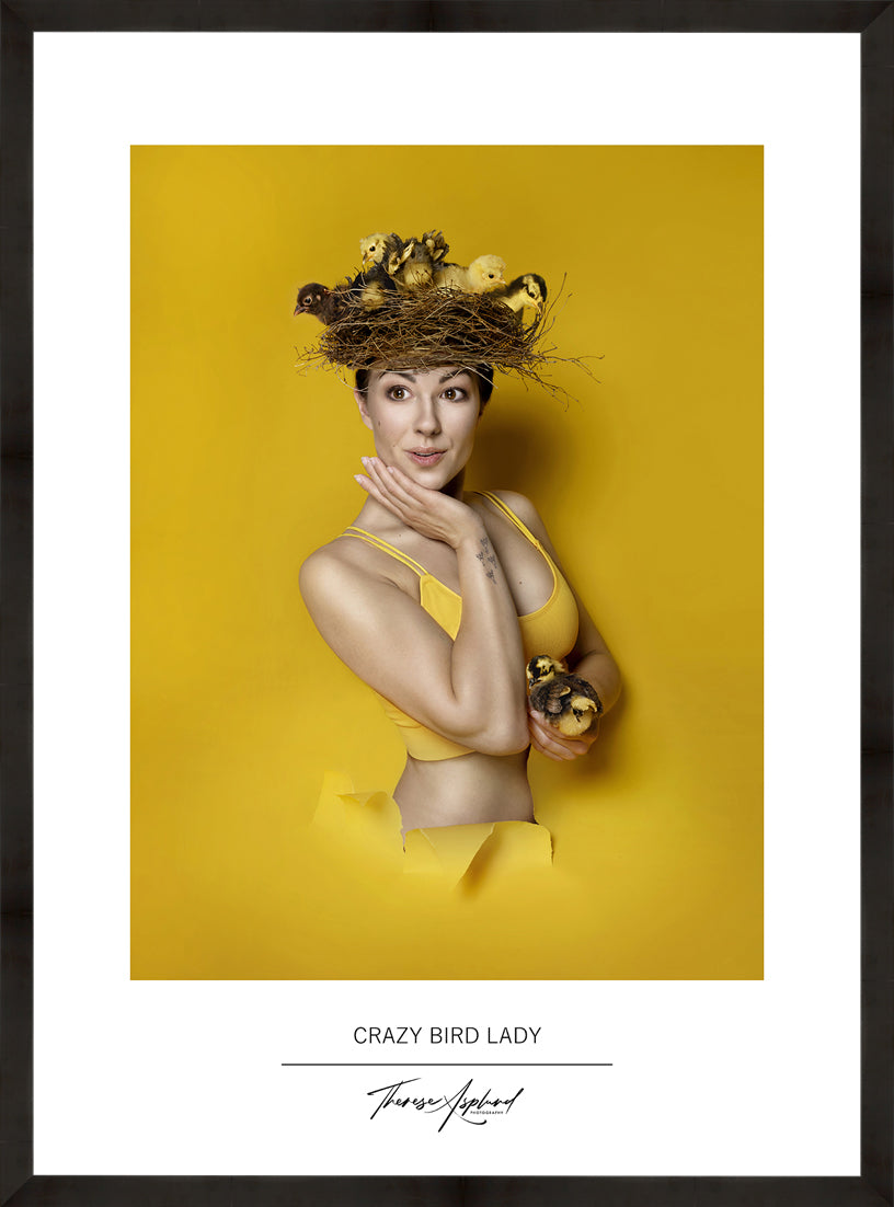 Art Poster 50x70 - CRAZY BIRD LADY