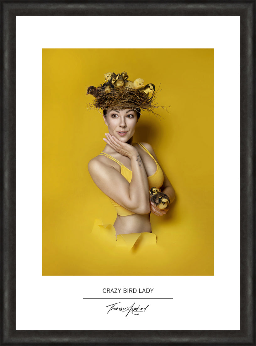 Art Poster 50x70 - CRAZY BIRD LADY