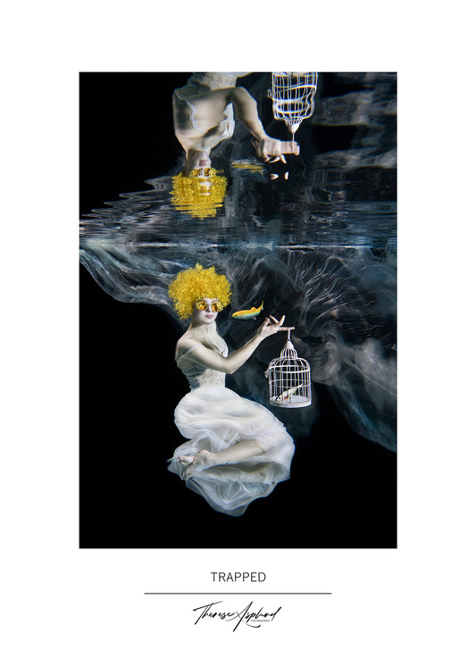 Art Poster 50x70 - TRAPPED