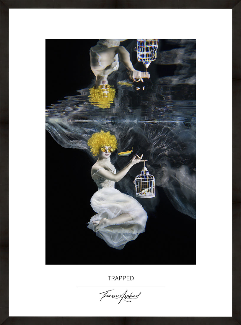 Art Poster 50x70 - TRAPPED