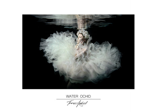 Art Poster 50x70 - WATER OCHID